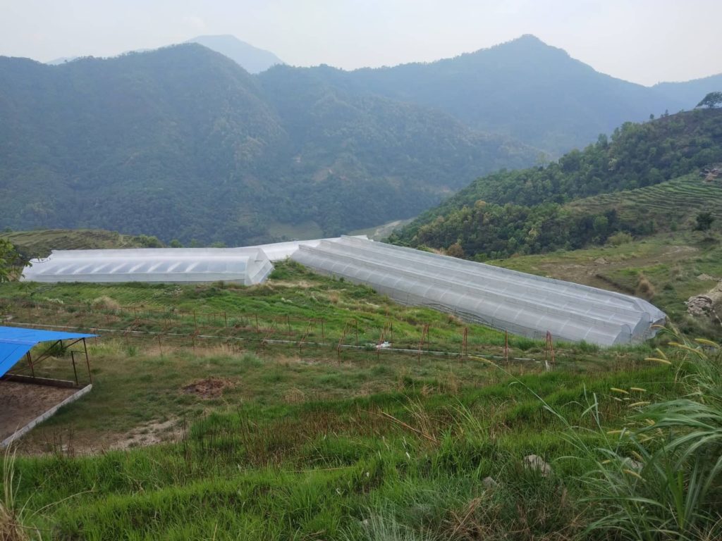 Arava farm