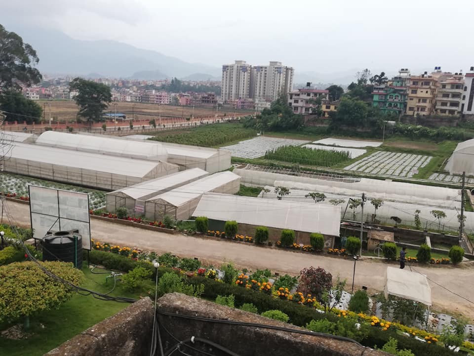 Crop development