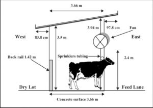 Dairy farm1